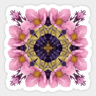 Pink and Purple Hellebore Flowers Sticker